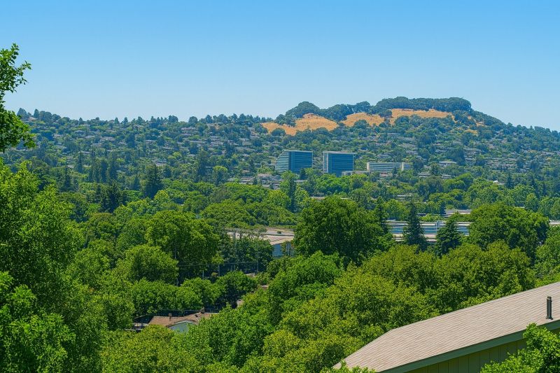 Asphalt Service in Castro Valley, CA
